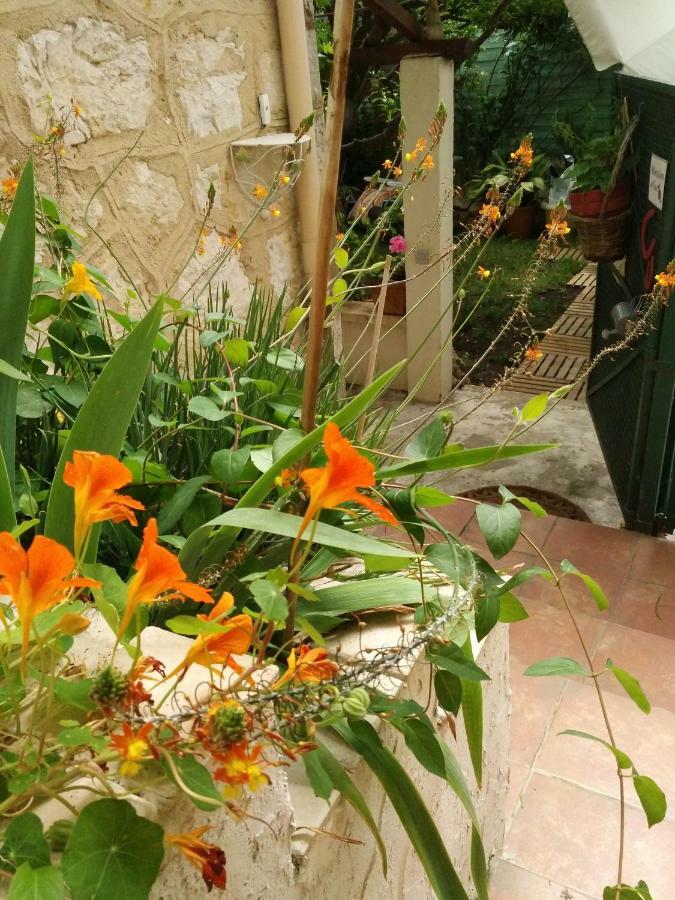 2 Pieces, Proche Centre Ville, Gip Asfo, Jardin Et Parking Privatifs Грасс Екстер'єр фото